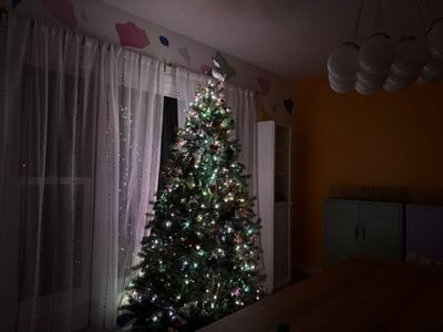 teinte festavia lumières blanches
