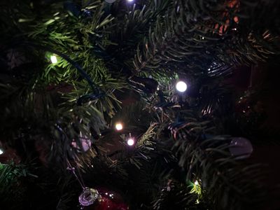 Hue Festavia lumières dans l'arbre