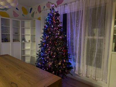 teinte festavia couleurs subtiles