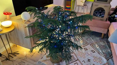 nanoleaf s'allume en bleu