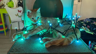 nanoleaf s'allume en vert