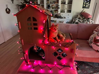 guirlande lumineuse nanoleaf en rose