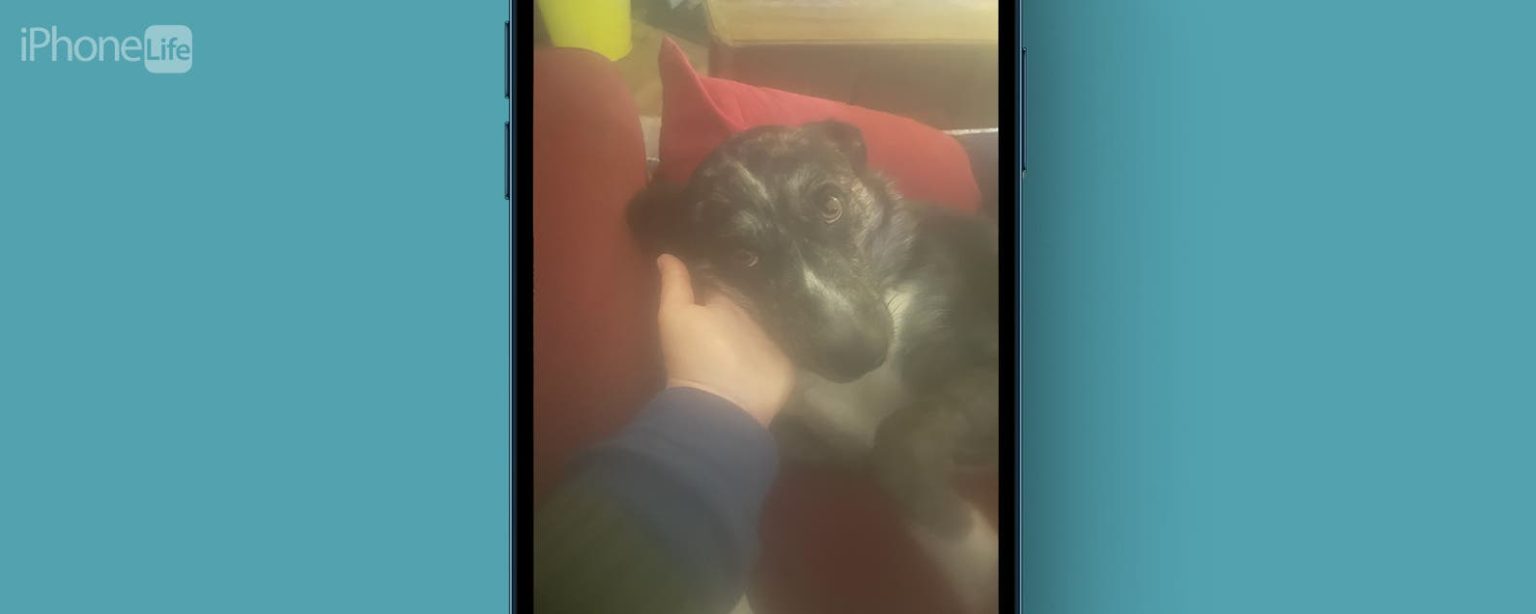 1702635179 Comment debloquer une image sur iPhone corrigez rapidement les photos