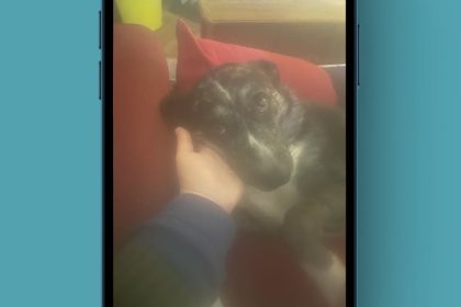 1702635179 Comment debloquer une image sur iPhone corrigez rapidement les photos