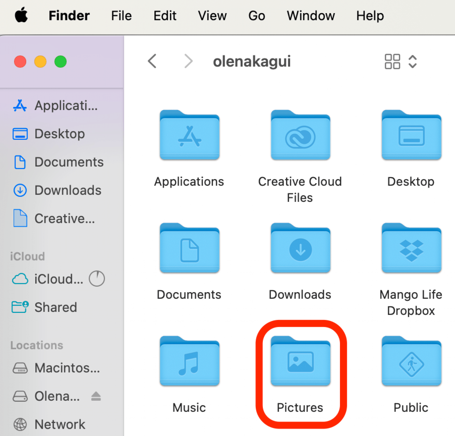 Votre bibliothèque de photos doit se trouver dans le dossier Images, dans le dossier Accueil.