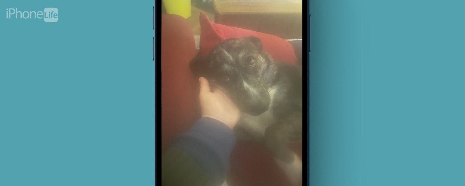 Comment debloquer une image sur iPhone corrigez rapidement les photos