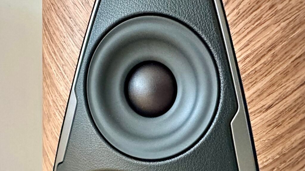Détail du haut-parleur Sonus Faber Duetto