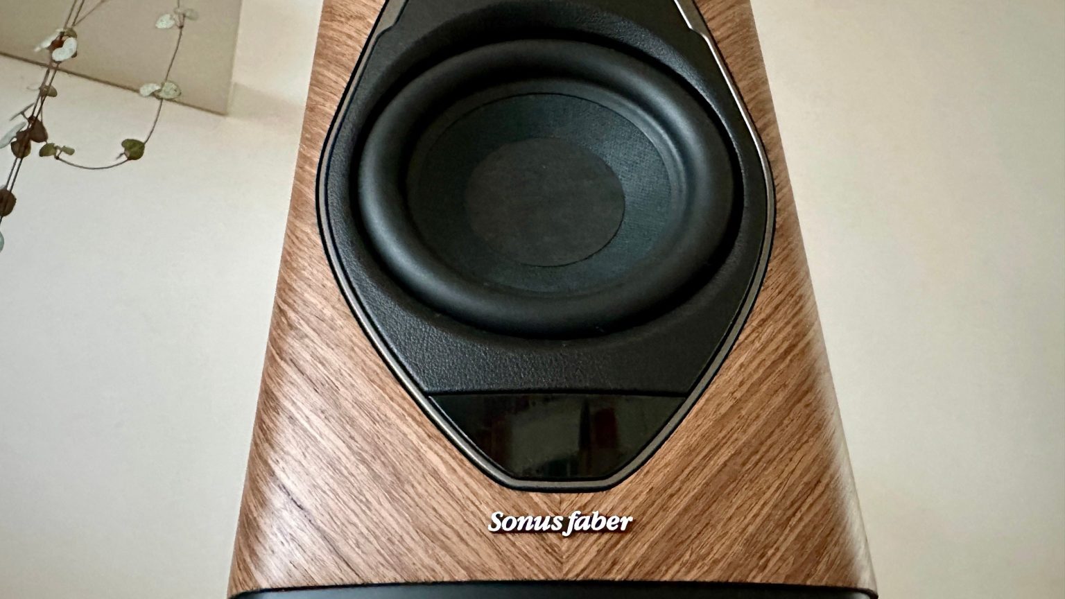 1704726799 Test du Sonus Faber Duetto