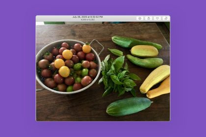 1705446785 Comment incliner et faire pivoter des photos sur Mac