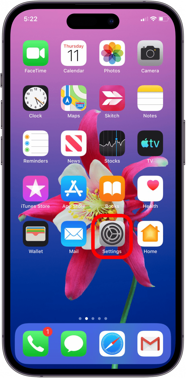 open the settings app on your iphone or ipad 1707382144 917 Comment mettre a jour les informations de saisie automatique de