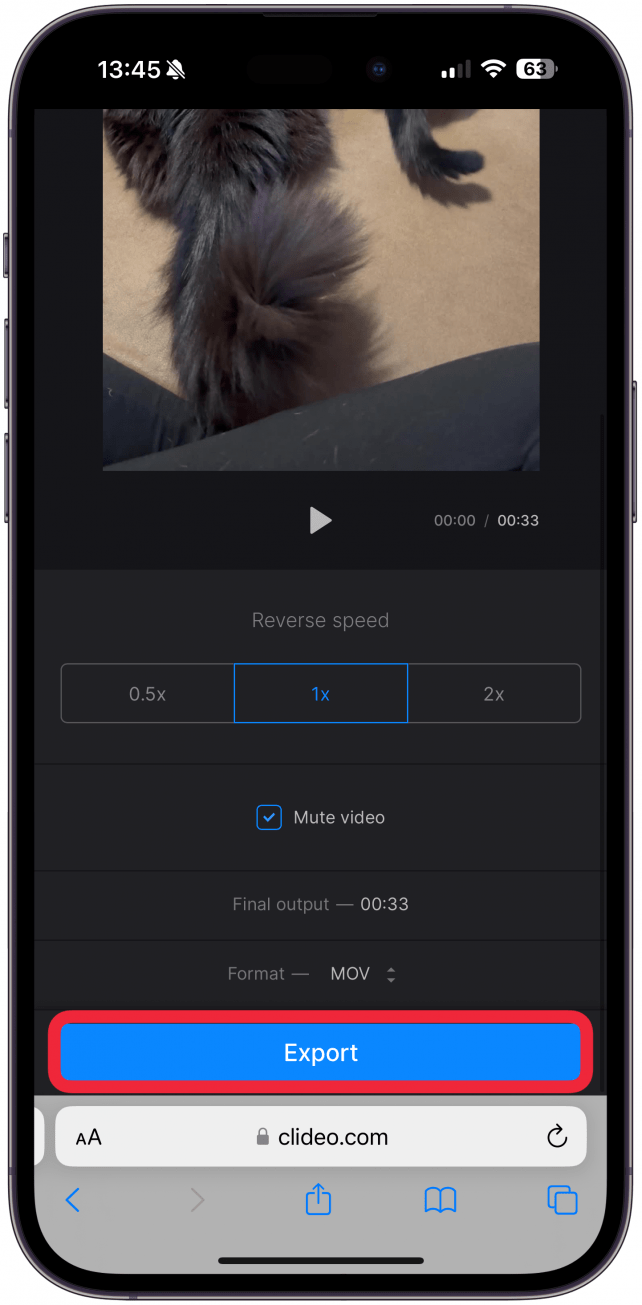 Ici, vous pouvez sélectionner votre vitesse inverse préférée, choisir de désactiver la vidéo si vous le souhaitez, puis appuyer sur Exporter.