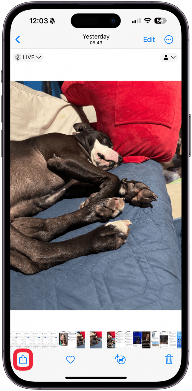 Ouvrez une photo dans l'application Photos et appuyez sur l'icône de partage.