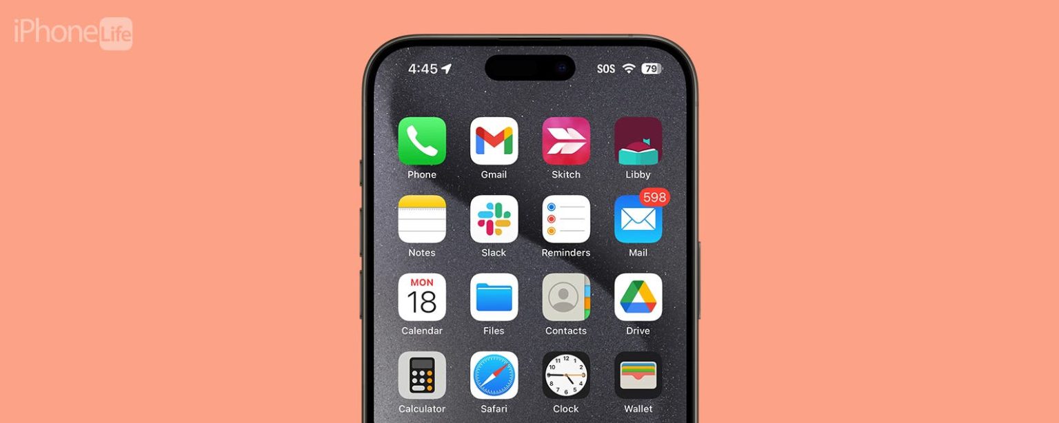 1712034771 Que sont les badges sur iPhone
