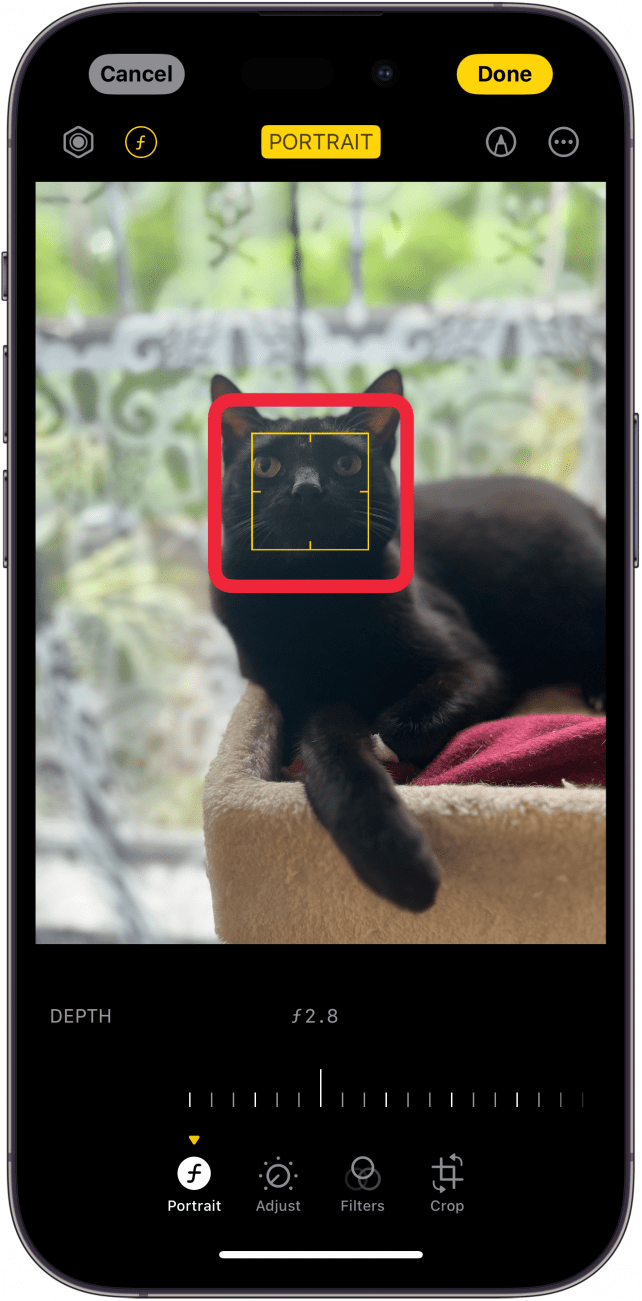 éditeur de photos iPhone avec une boîte rouge autour du carré de zone de mise au point jaune