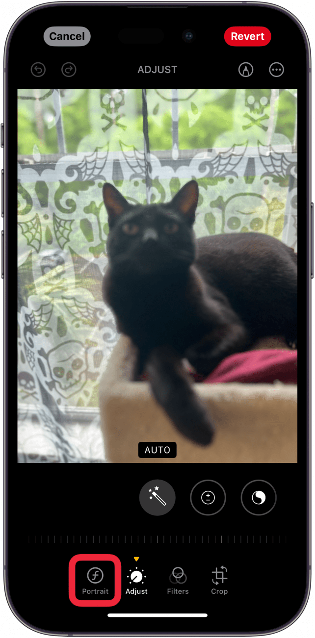 éditeur de photos iPhone avec un cadre rouge autour de l'option portrait