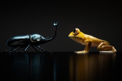 Rien ne taquine les nouveaux ecouteurs prevus pour deux telephones