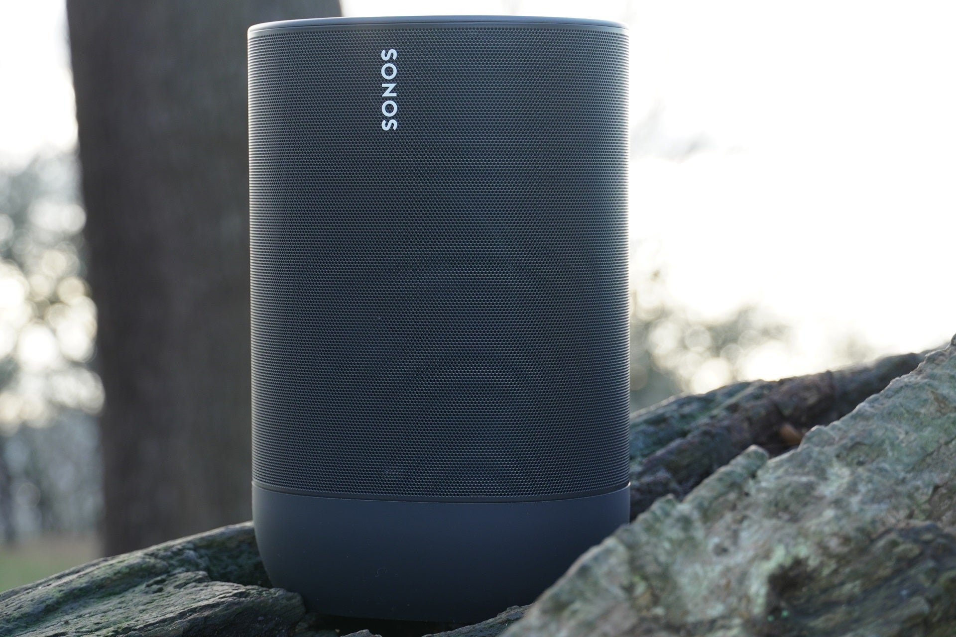Sonos Move contre la lumière hivernale