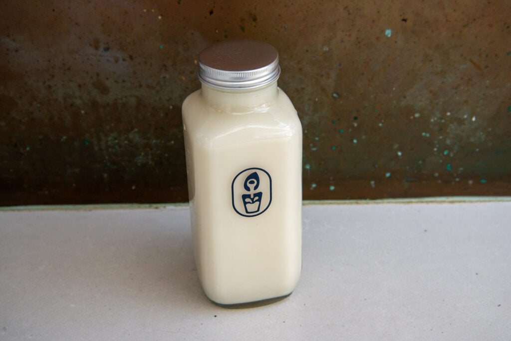 Lait d'avoine fini Milky Plant