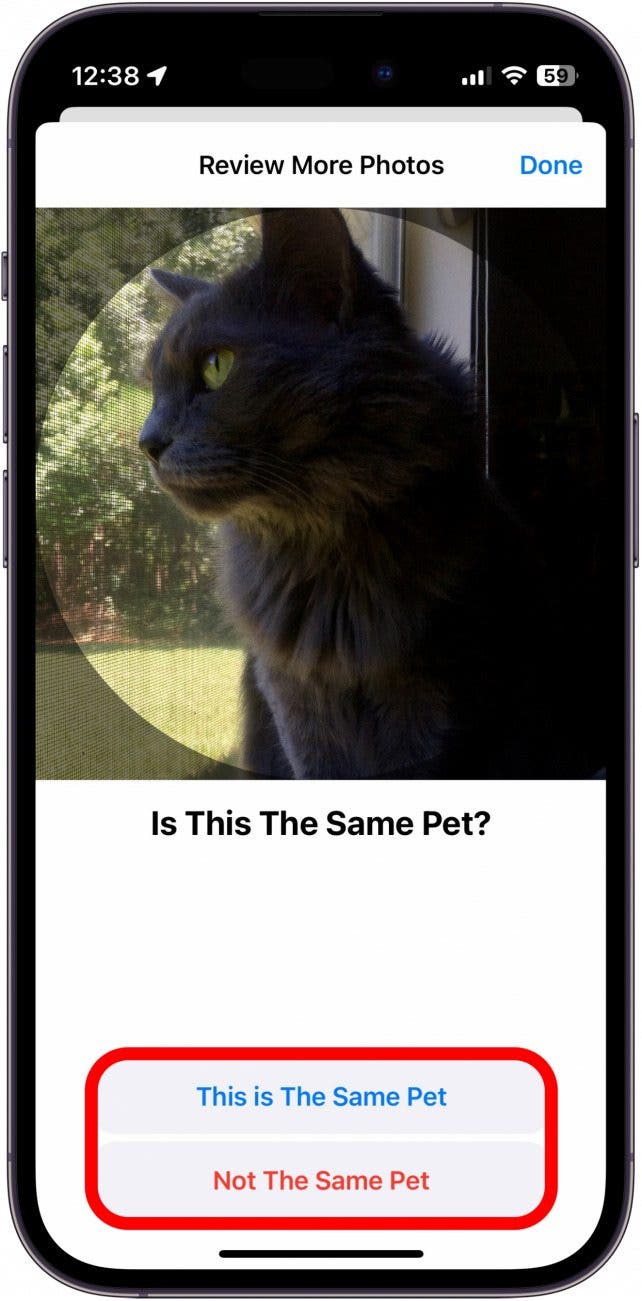 Photos de révision de l'iPhone avec Red Box autour