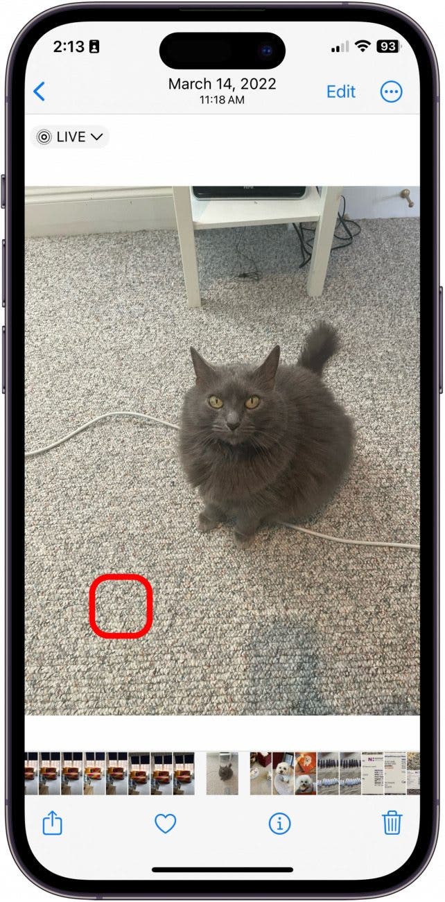 transformer les photos en autocollants
