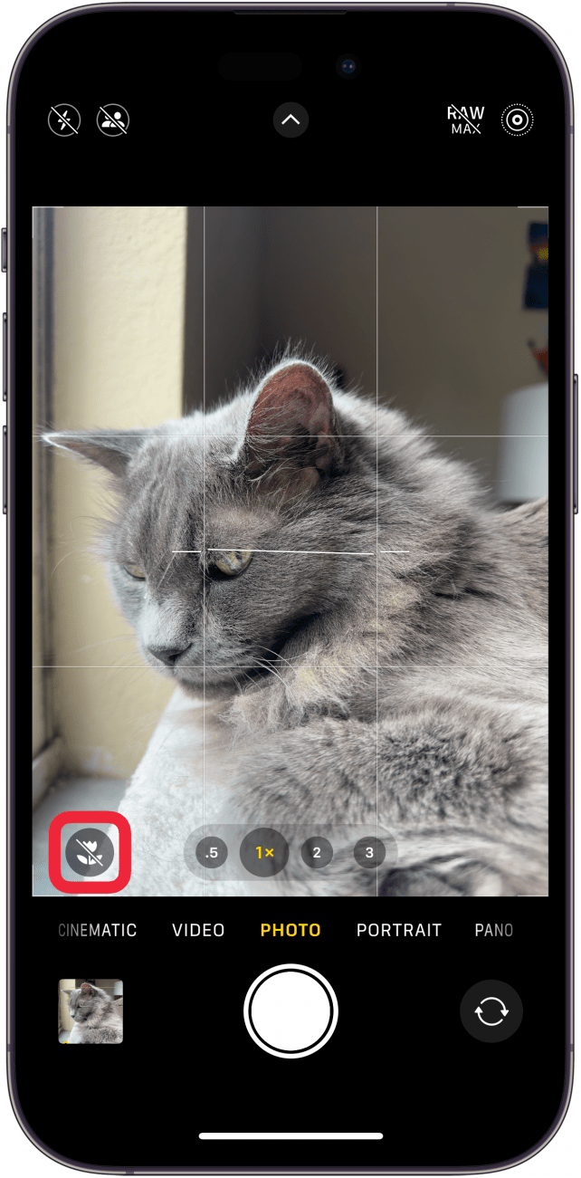 Application de caméra iPhone affichant une icône de fleur grise avec une barre oblique à travers et une boîte rouge autour de lui