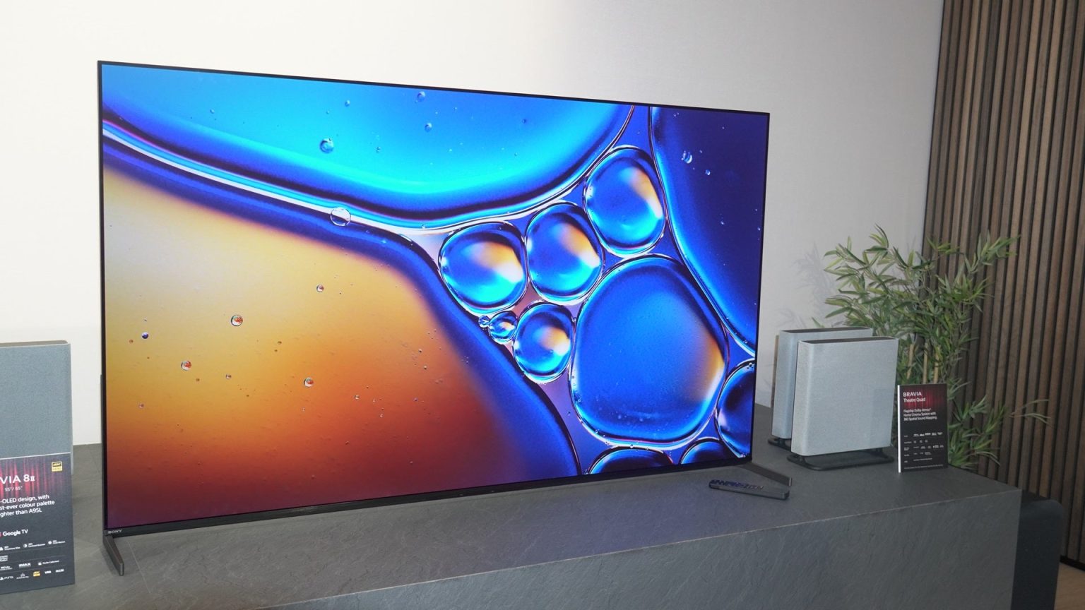 1743614667 2025 pourrait etre une bonne annee pour la television de