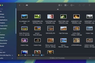 1744194263 macOS comment utiliser des actions rapides dans Finder