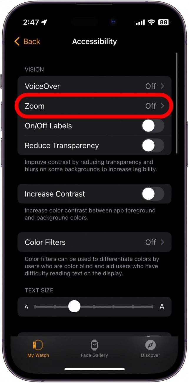 Paramètres d'accessibilité de l'application IPhone Watch avec l'option Zoom encerclé en rouge