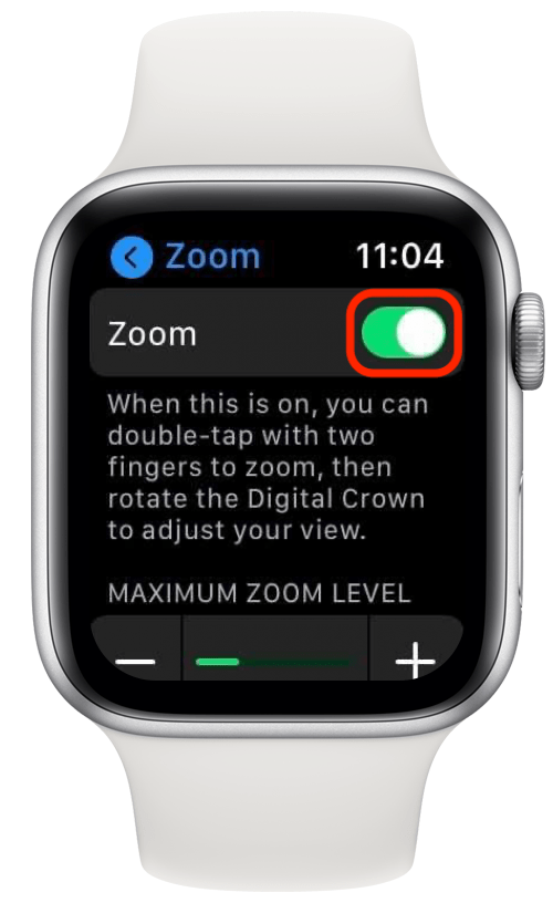 Appuyez sur la bascule verte à côté du zoom pour désactiver la fonction de zoom Apple Watch