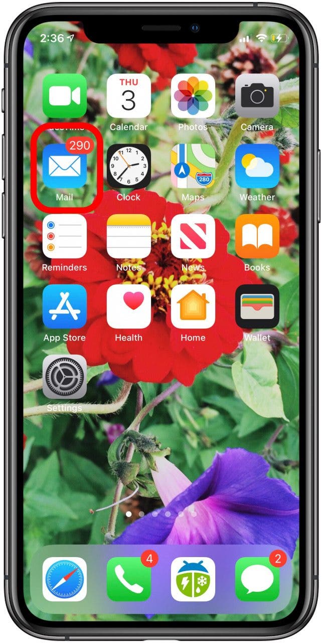 Apple Mail application