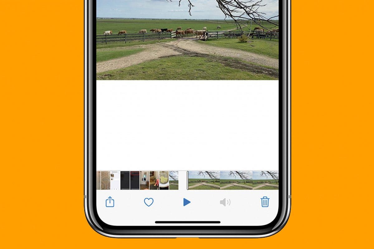 Comment supprimer le son dune video iPhone