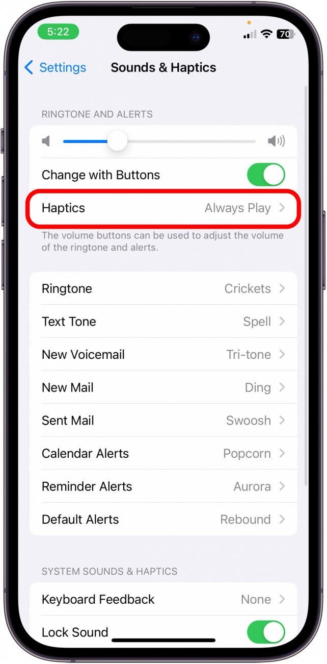 Appuyez sur Haptics dans les paramètres du son et de l'haptique iPhone Appuyez sur Haptics dans les paramètres du son et de l'haptique iPhone