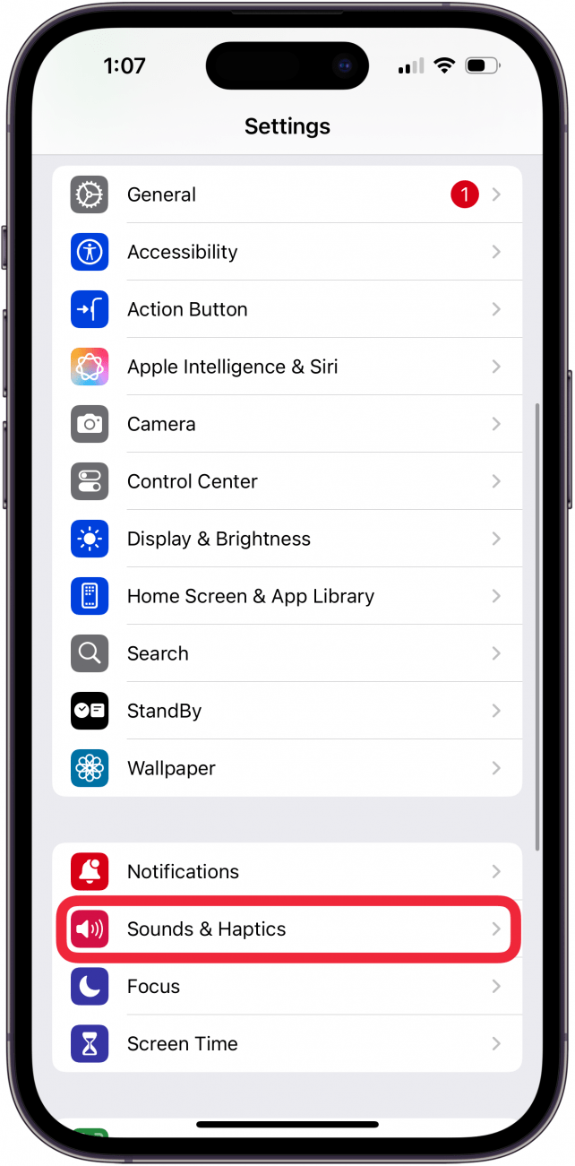 Appuyez sur le son et les haptiques dans les paramètres de l'iPhone Appuyez sur le son et les haptiques dans les paramètres de l'iPhone