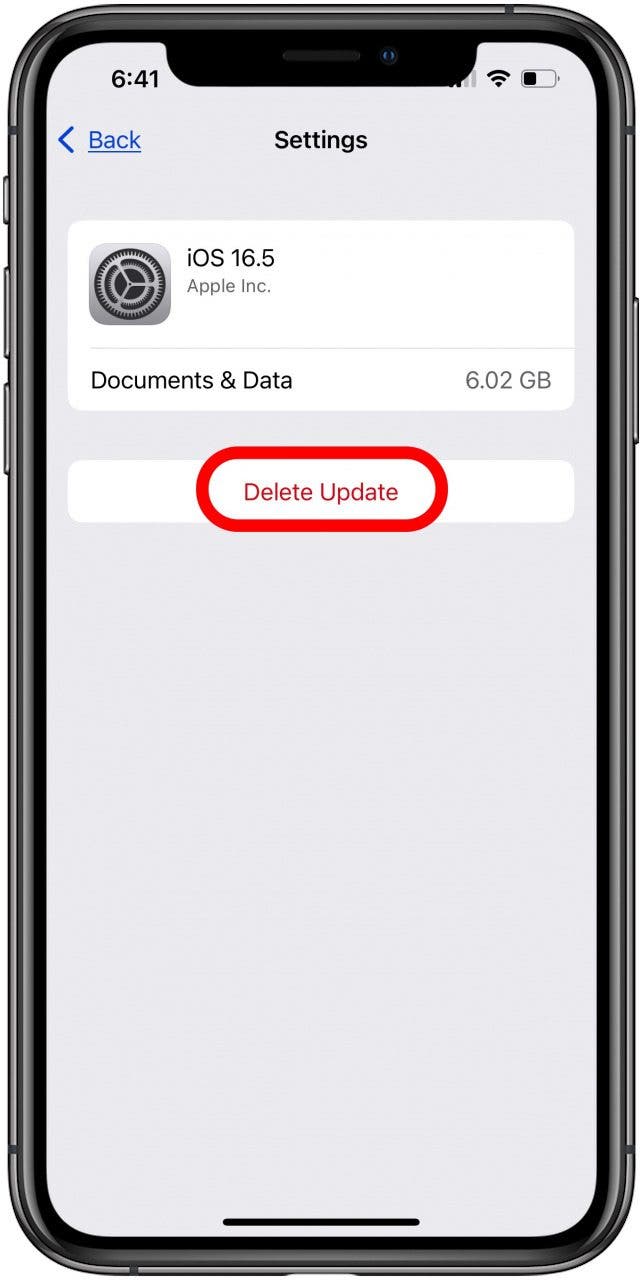Appuyez sur Supprimer la mise à jour pour supprimer les iPados ou la mise à jour iOS Appuyez sur Supprimer la mise à jour pour supprimer les iPados ou la mise à jour iOS