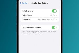 1749073708 Quest ce que les donnees itinerantes sur liPhone et devraient elles etre