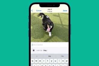 1749754849 Comment ajouter une legende a une photo sur iPhone