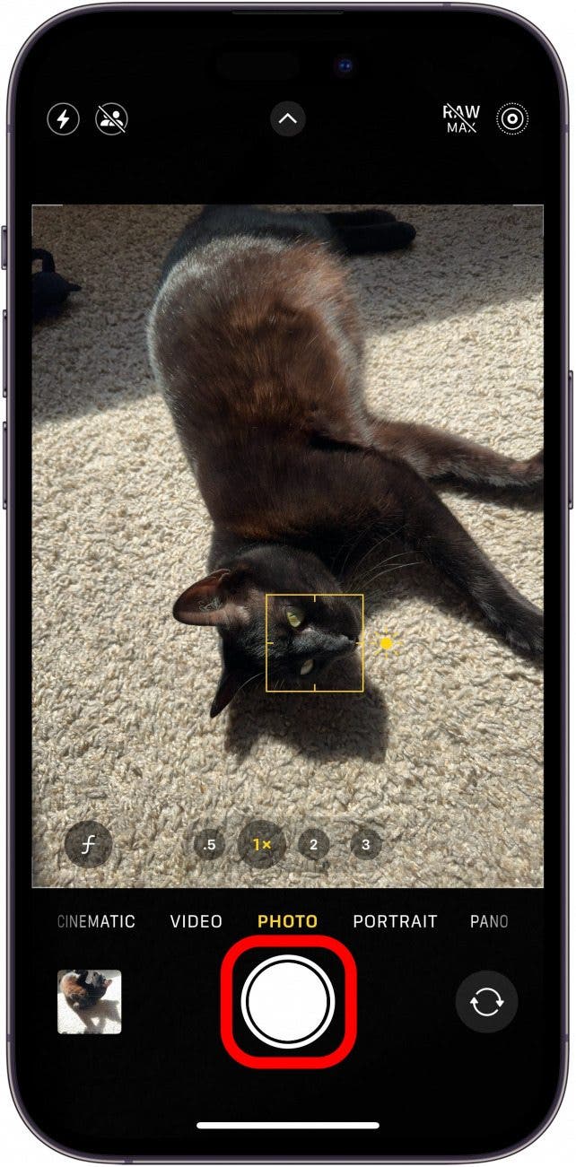 Application de caméra iPhone avec une boîte rouge autour du déclencheur Application de caméra iPhone avec une boîte rouge autour du déclencheur