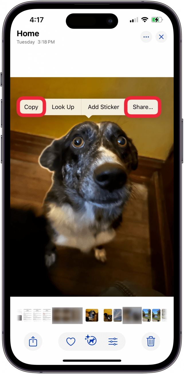 Appuyez sur Copier ou partagez pour utiliser l'image avec l'arrière-plan supprimé Appuyez sur Copier ou partagez pour utiliser l'image avec l'arrière-plan supprimé