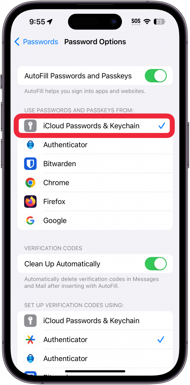 Options de mot de passe de l'iPhone avec iCloud Motswats et Keychain Basgle en rouge en rouge