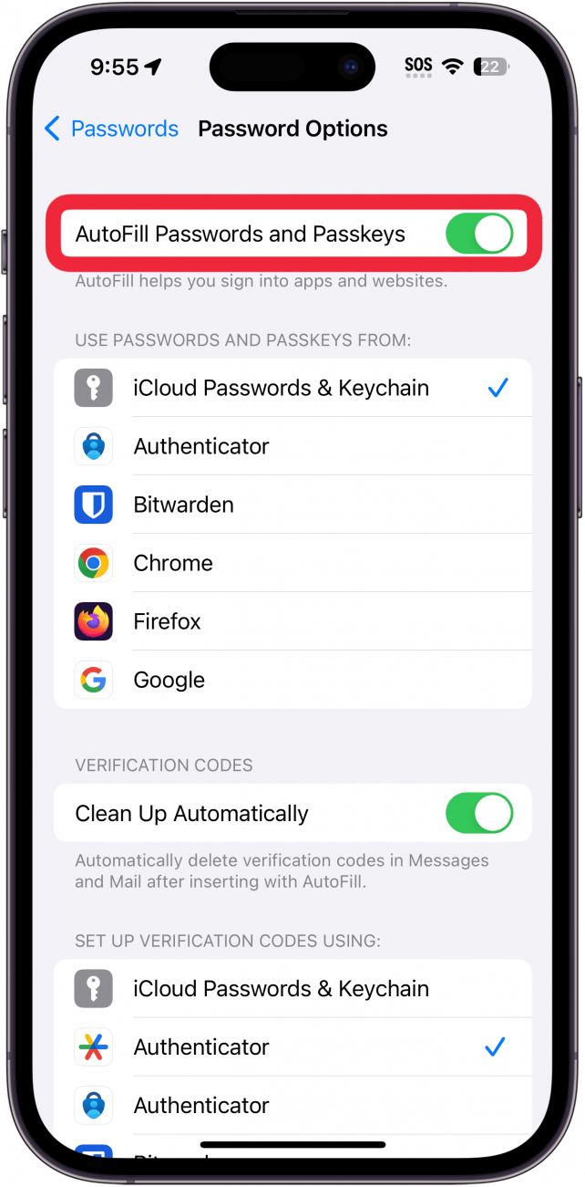 Options de mot de passe de l'iPhone avec les mots de passe en automatique et Passkeys basculer en rouge en rouge