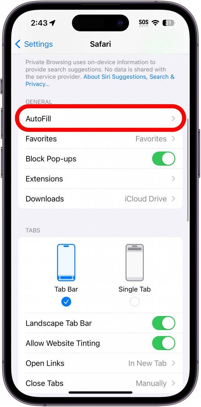 Les paramètres de safari iPhone avec automatique sont encerclés en rouge