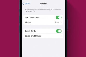 1754416827 Remplissez automatiquement les formulaires sur iPhone et iPad