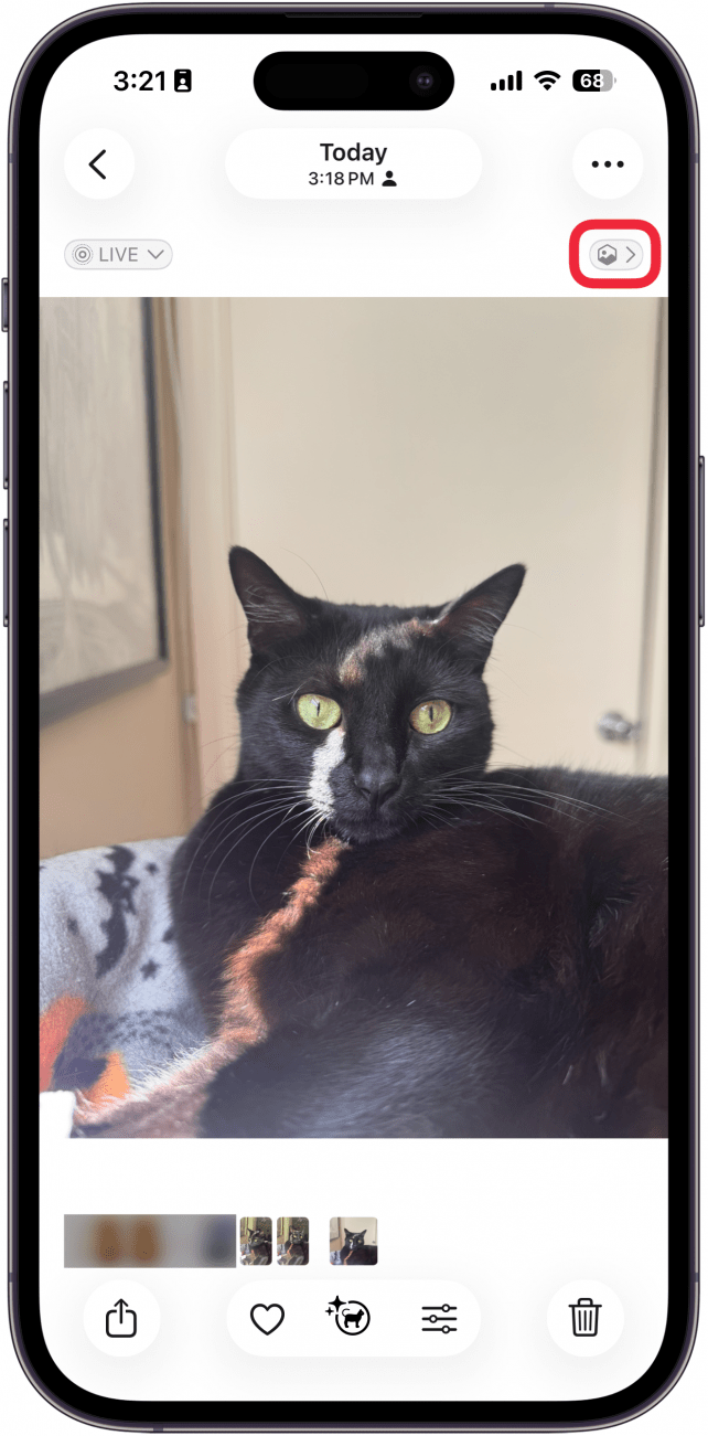 Une capture d'écran de l'application IPhone Photos affichant une photo d'un chat avec une boîte rouge autour de l'icône de photo spatiale