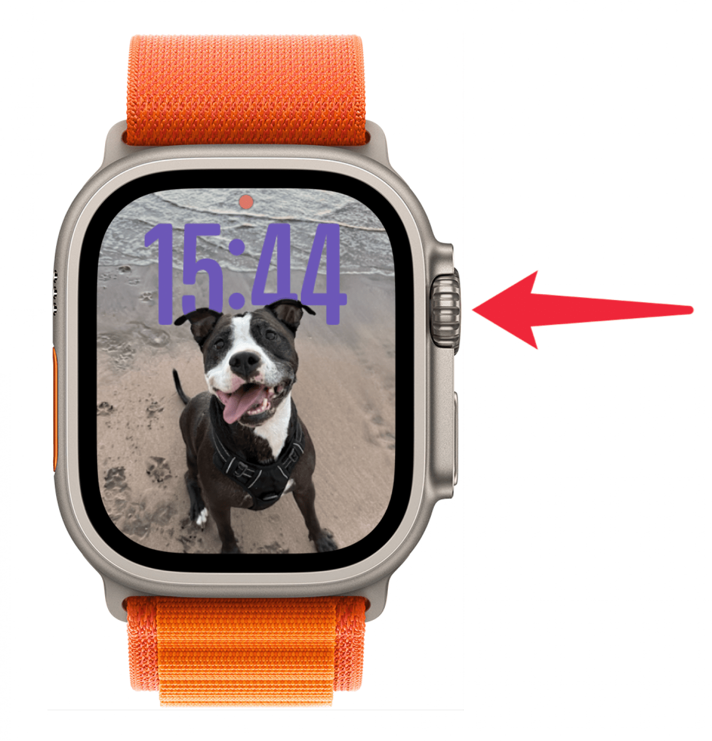 Appuyez sur votre Apple Watch pour le réveiller si elle dort, puis appuyez sur le bouton d'accueil.