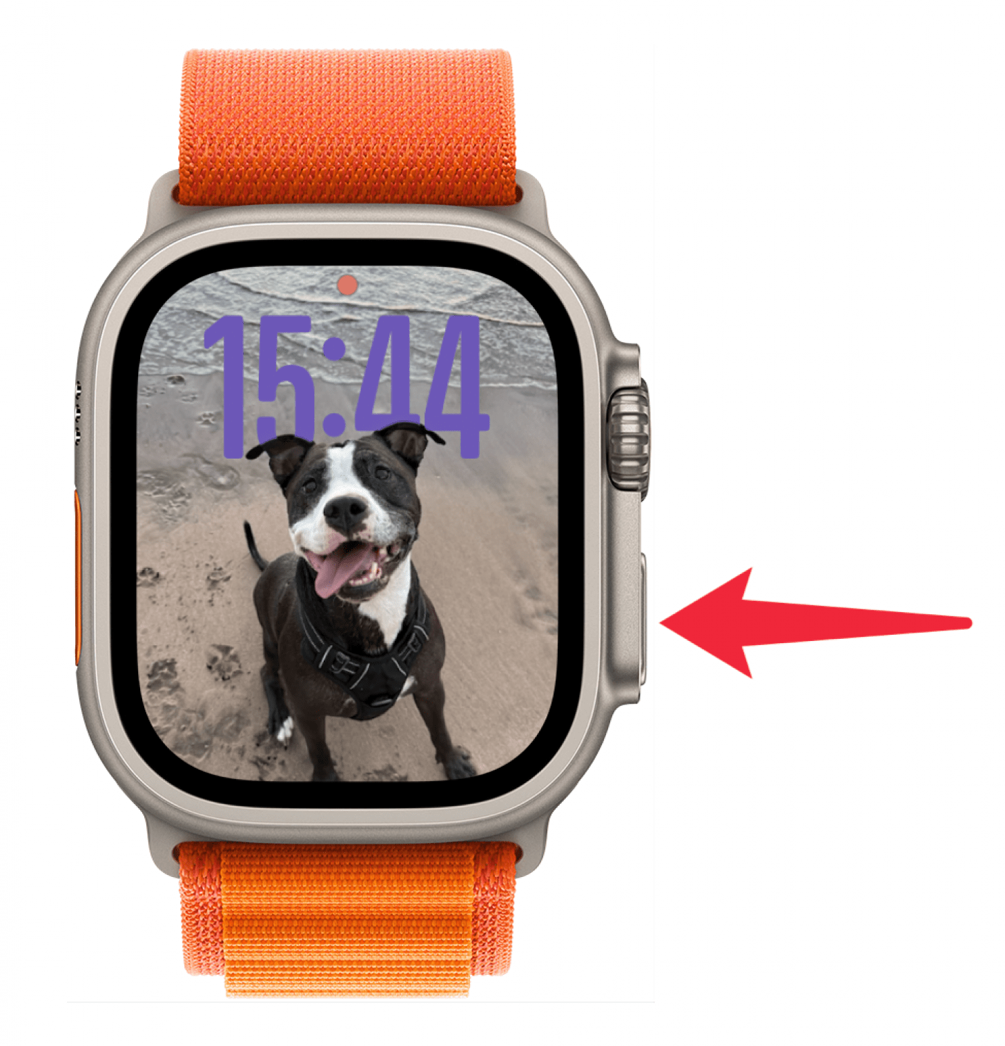 Appuyez sur le bouton latéral pour ouvrir votre centre de commande Apple Watch.