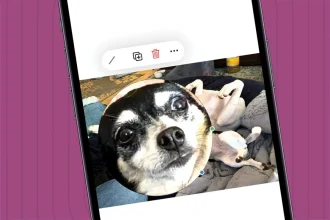 Comment agrandir une partie dune image sur iPhone