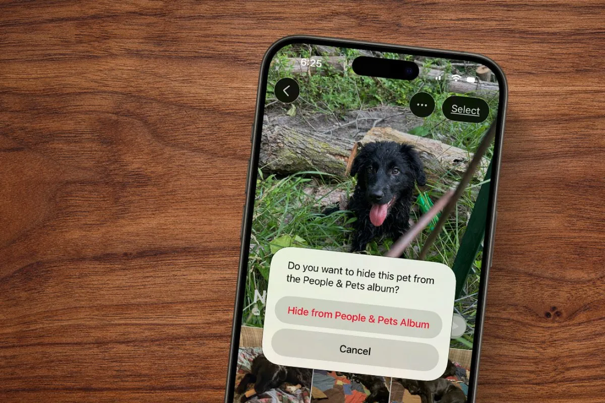 Comment supprimer un album de personnes sur iPhone et iPad
