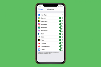 1778117446 Comment faire en sorte que le microphone de votre iPhone